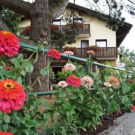 Hotel-Landgasthof Henghuber Rötz Kültér fotó